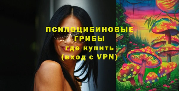 ГАЛЛЮЦИНОГЕННЫЕ ГРИБЫ Строитель
