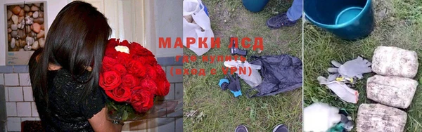 крисы Верея