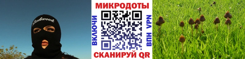 Галлюциногенные грибы GOLDEN TEACHER Ярославль